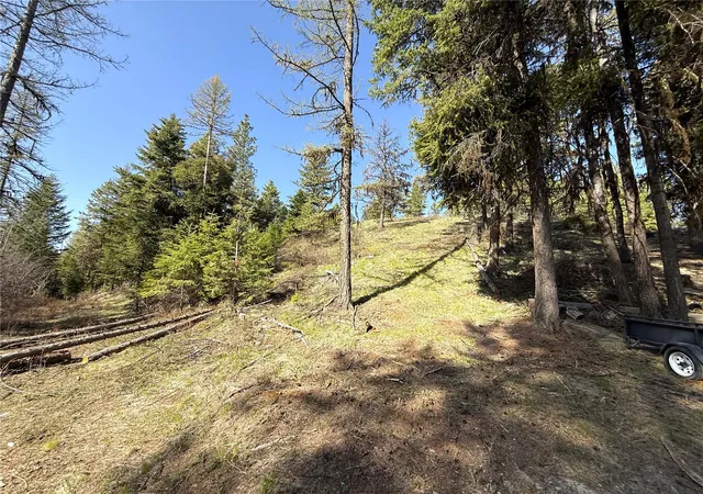 Photo 3 of Land for sale at 0 Tbd Give Out Crk Rd, Wauconda, WA 98859 | MLS# NWM2368327 | Listing updated on 2026-09-17
