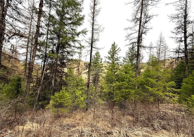 Photo 3 of Land for sale at 0 Tbd Give Out Crk Rd, Wauconda, WA 98859 | MLS# NWM2368327 | Listing updated on 2026-09-17