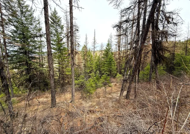 Photo 4 of Land for sale at 0 Tbd Give Out Crk Rd, Wauconda, WA 98859 | MLS# NWM2368327 | Listing updated on 2026-09-17
