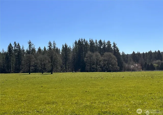 Photo 1 of Land for sale at 0 Ne Xxx 212th Ave, Battle Ground, WA 98604 | MLS# NWM2368993 | Listing updated on 2026-09-17