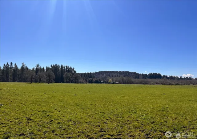 Photo 2 of Land for sale at 0 Ne Xxx 212th Ave, Battle Ground, WA 98604 | MLS# NWM2368993 | Listing updated on 2026-09-17