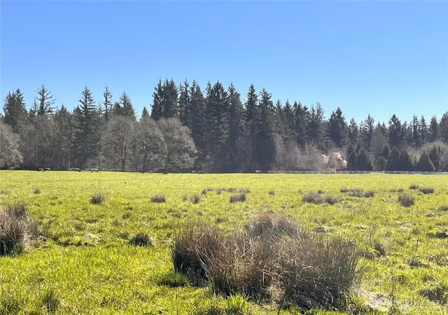 Photo 3 of Land for sale at 0 Ne Xxx 212th Ave, Battle Ground, WA 98604 | MLS# NWM2368993 | Listing updated on 2026-09-17