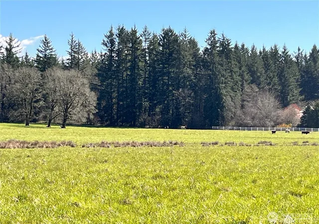 Photo 3 of Land for sale at 0 NE Xxx 212th Ave, Battle Ground, WA 98604 | MLS# NWM2368993 | Listing updated on 2026-09-17