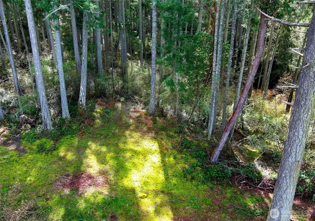Photo 2 of Land for sale at 87 Conifer Ln, Friday Harbor, WA 98250 | MLS# NWM2369841 | Listing updated on 2026-09-17