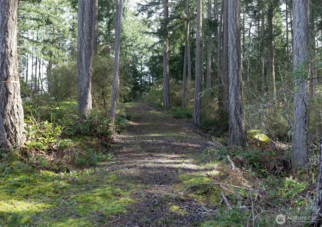 Photo 3 of Land for sale at 87 Conifer Ln, Friday Harbor, WA 98250 | MLS# NWM2369841 | Listing updated on 2026-09-17
