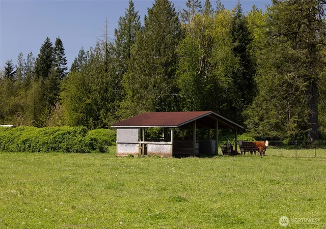Photo 4 of Land for sale at 0 Gore Rd, Onalaska, WA 98570 | MLS# NWM2370858 | Listing updated on 2026-09-17
