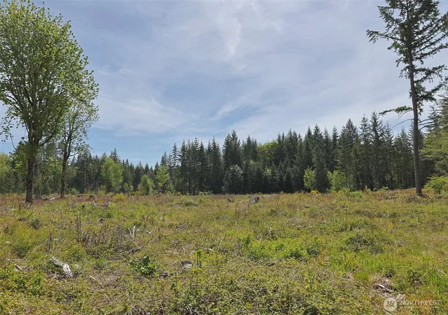 Photo 4 of Land for sale at 15138 Champion Est Dr SE, Yelm, WA 98597 | MLS# NWM2372723 | Listing updated on 2026-09-17