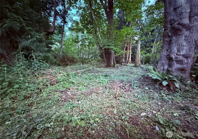 Photo 3 of Land for sale at 52 F Saratoga Dr, Hat Island, WA 98206 | MLS# NWM2373243 | Listing updated on 2026-09-17