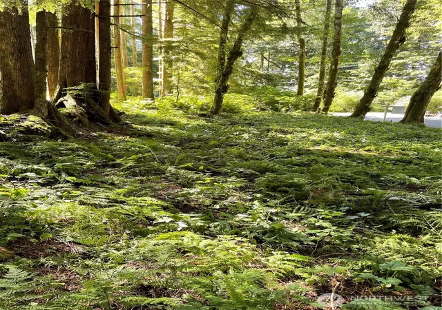 Photo 1 of Land for sale at 0 S Xxxxx Shore Dr, Mount Vernon, WA 98274 | MLS# NWM2375031 | Listing updated on 2026-09-17