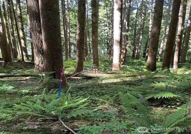 Photo 3 of Land for sale at 0 S Xxxxx Shore Dr, Mount Vernon, WA 98274 | MLS# NWM2375031 | Listing updated on 2026-09-17
