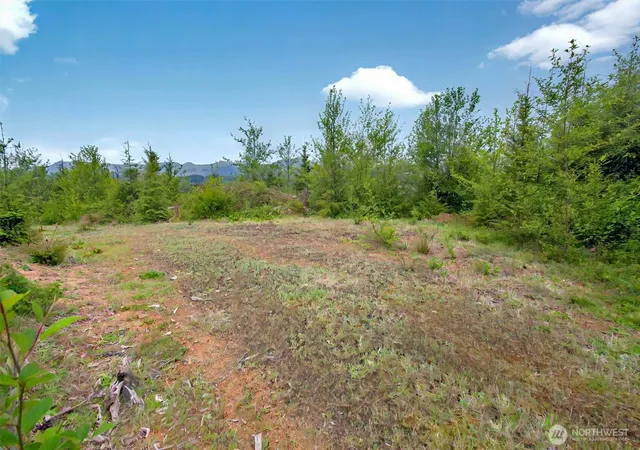 Photo 3 of Sale Pending at 4 Parpala Rd #4, Naselle, WA 98638 | MLS# NWM2376873 | Listing updated on 2026-09-28