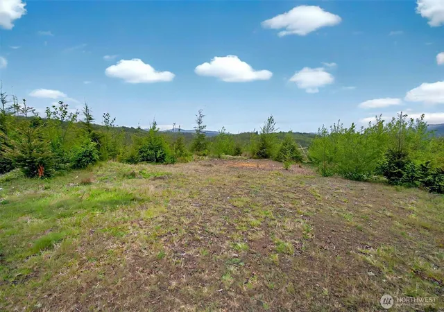 Photo 4 of Sale Pending at 4 Parpala Rd #4, Naselle, WA 98638 | MLS# NWM2376873 | Listing updated on 2026-09-28