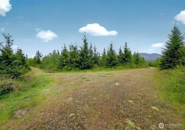 Photo 1 of Sale Pending at 5 Parpala Rd #5, Naselle, WA 98638 | MLS# NWM2376885 | Listing updated on 2026-09-28