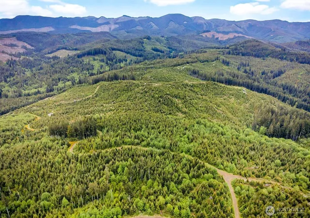 Photo 2 of Sale Pending at 5 Parpala Rd #5, Naselle, WA 98638 | MLS# NWM2376885 | Listing updated on 2026-09-28