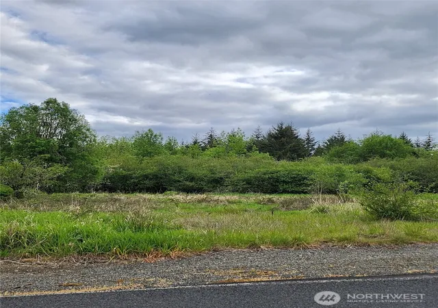 Photo 1 of Land for sale at 0 Henriot Rd, Winlock, WA 98596 | MLS# NWM2377129 | Listing updated on 2026-09-17
