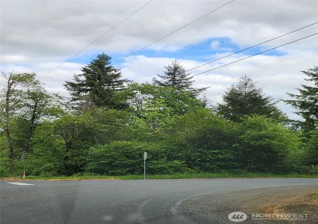 Photo 3 of Land for sale at 0 Henriot Rd, Winlock, WA 98596 | MLS# NWM2377129 | Listing updated on 2026-09-17