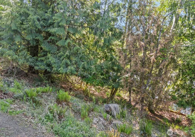 Photo 3 of Land for sale at 1710 SE Crescent Dr, Shelton, WA 98584 | MLS# NWM2378303 | Listing updated on 2026-09-17