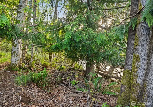 Photo 4 of Land for sale at 1710 SE Crescent Dr, Shelton, WA 98584 | MLS# NWM2378303 | Listing updated on 2026-09-17