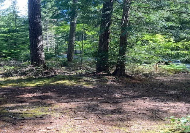 Photo 3 of Single family home for sale at 830 N Potlatch Dr, Hoodsport, WA 98548 | MLS# NWM2379020 | Listing updated on 2026-09-17