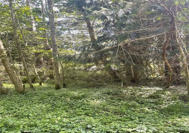 Photo 1 of Land for sale at 1321 54th Street, Port Townsend, WA 98368 | MLS# NWM2379465 | Listing updated on 2026-09-17