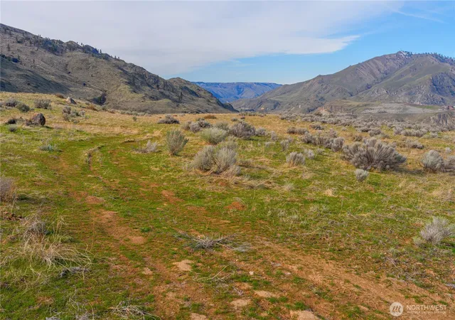 Photo 2 of Land for sale at 0 Tract 4 Mcneil Cyn, Orondo, WA 98843 | MLS# NWM2382824 | Listing updated on 2026-09-17