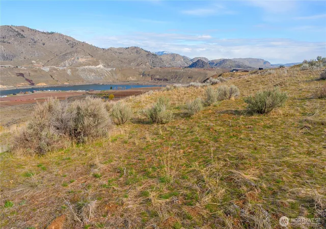 Photo 3 of Land for sale at 0 Tract 4 Mcneil Cyn, Orondo, WA 98843 | MLS# NWM2382824 | Listing updated on 2026-09-17