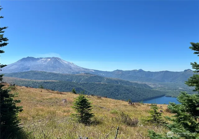 Photo 1 of Land for sale at 0 Spirit Lake Hwy, Skamania, WA 98648 | MLS# NWM2387074 | Listing updated on 2026-09-17