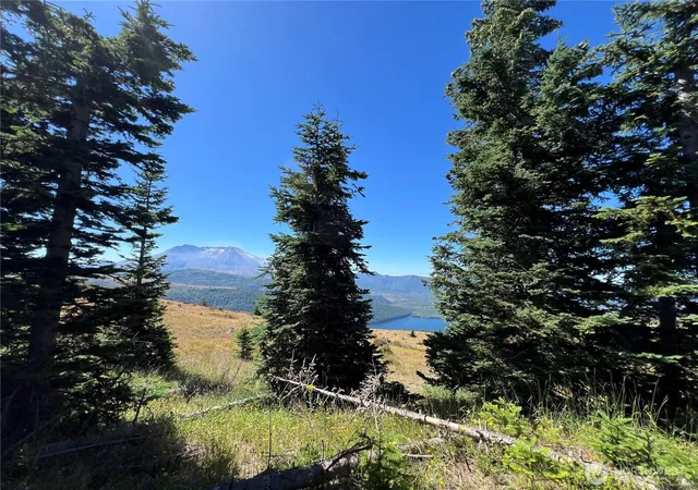 Photo 2 of Land for sale at 0 Spirit Lake Hwy, Skamania, WA 98648 | MLS# NWM2387074 | Listing updated on 2026-09-17