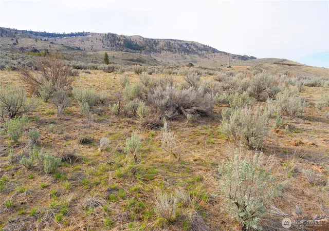 Photo 4 of Land for sale at 0 Parcel E Mcneil Cyn Rd, Orondo, WA 98816 | MLS# NWM2388317 | Listing updated on 2026-09-17