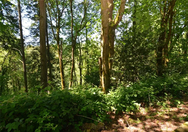 Photo 3 of Land for sale at 2427 Archwood Dr, Longview, WA 98632 | MLS# NWM2390263 | Listing updated on 2026-09-17