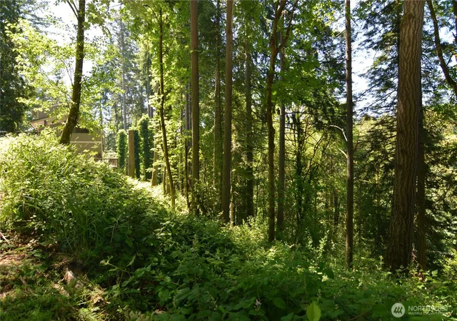 Photo 4 of Land for sale at 2427 Archwood Dr, Longview, WA 98632 | MLS# NWM2390263 | Listing updated on 2026-09-17