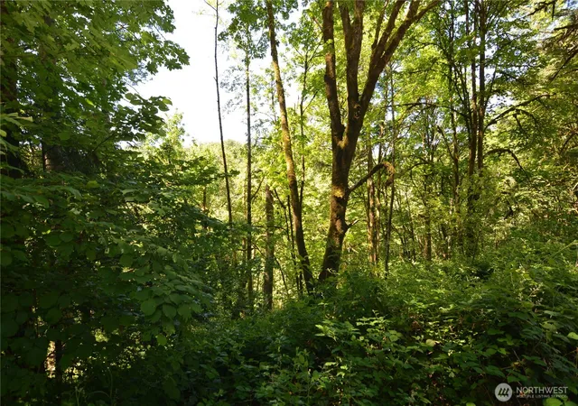 Photo 3 of Land for sale at 2429 Archwood Dr, Longview, WA 98632 | MLS# NWM2390267 | Listing updated on 2026-09-17