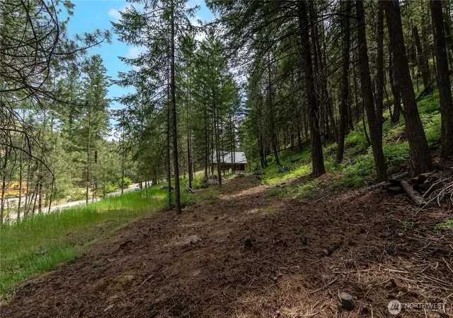 Photo 4 of Land for sale at 7 Howerton Rd, Twisp, WA 98856 | MLS# NWM2390319 | Listing updated on 2026-09-17