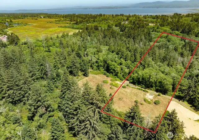 Photo 4 of Land for sale at 10501 Pearl Ln, Long Beach, WA 98631 | MLS# NWM2390971 | Listing updated on 2026-09-17