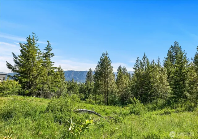 Photo 3 of Land for sale at 29 Forest Ridge Dr, Cle Elum, WA 98922 | MLS# NWM2391878 | Listing updated on 2026-09-17