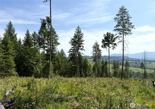 Photo 1 of Land for sale at 0 Rockabye Ln, Curlew, WA 99118 | MLS# NWM2392876 | Listing updated on 2026-09-17