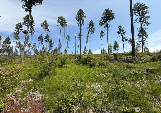Photo 3 of Land for sale at 0 Rockabye Ln, Curlew, WA 99118 | MLS# NWM2392876 | Listing updated on 2026-09-17