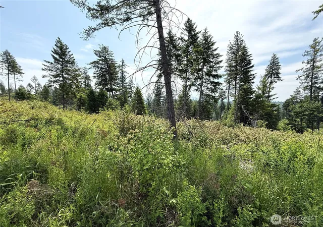 Photo 3 of Land for sale at 0 Rockabye Ln, Curlew, WA 99118 | MLS# NWM2392876 | Listing updated on 2026-09-17