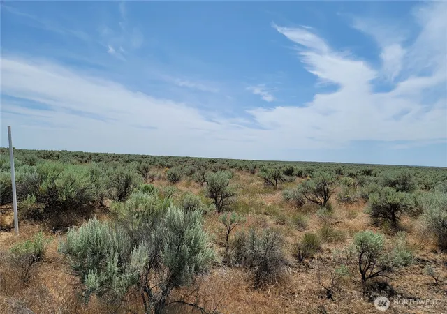 Land for sale at 0 Lot 116 Eagle Springs Ranch, Wilson Creek, WA 98860 | MLS# NWM2393351