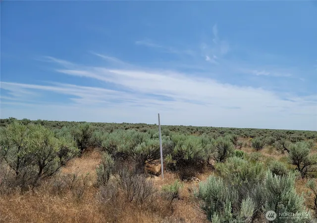 Photo 2 of Land for sale at 0 Lot 116 Eagle Springs Ranch, Wilson Creek, WA 98860 | MLS# NWM2393351 | Listing updated on 2026-09-17