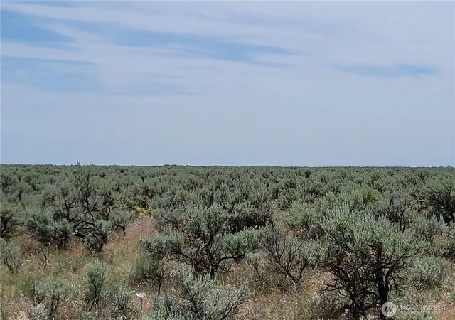 Photo 3 of Land for sale at 0 Lot 116 Eagle Springs Ranch, Wilson Creek, WA 98860 | MLS# NWM2393351 | Listing updated on 2026-09-17