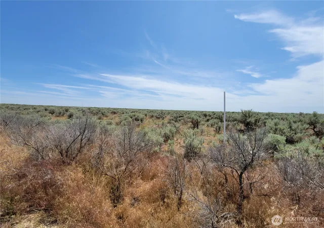 Photo 4 of Land for sale at 0 Lot 116 Eagle Springs Ranch, Wilson Creek, WA 98860 | MLS# NWM2393351 | Listing updated on 2026-09-17