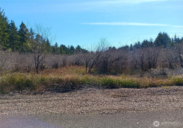 Land for sale at 1610 147th Place, Long Beach, WA 98631 | MLS# NWM2393381
