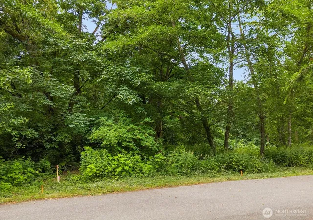 Photo 4 of Land for sale at 304 Dove Dr, Camano Island, WA 98282 | MLS# NWM2394130 | Listing updated on 2026-09-17