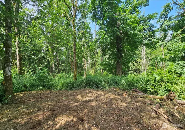 Photo 1 of Land for sale at 0 Xxxa Dove Dr, Camano Island, WA 98282 | MLS# NWM2394158 | Listing updated on 2026-09-17