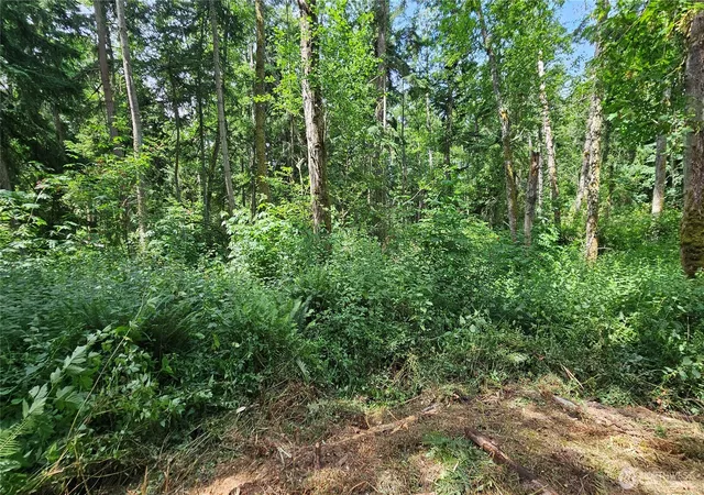 Photo 1 of Land for sale at 0 Xxxb Dove Dr, Camano Island, WA 98282 | MLS# NWM2394172 | Listing updated on 2026-09-17