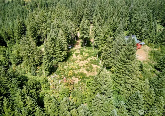 Photo 3 of Land for sale at 3 Phyllis Ann Block Ct, Cougar, WA 98616 | MLS# NWM2397079 | Listing updated on 2026-09-17