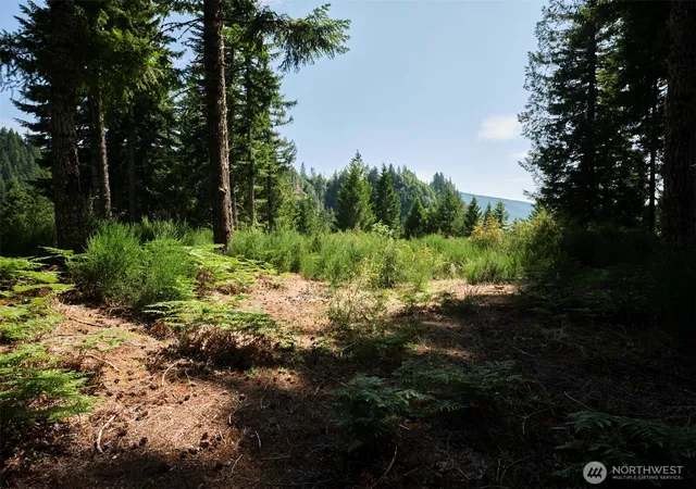 Photo 3 of Land for sale at 3 Phyllis Ann Block Ct, Cougar, WA 98616 | MLS# NWM2397079 | Listing updated on 2026-09-17