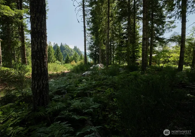 Photo 4 of Land for sale at 3 Phyllis Ann Block Ct, Cougar, WA 98616 | MLS# NWM2397079 | Listing updated on 2026-09-17