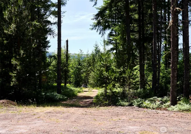 Photo 2 of Land for sale at 2 Phyllis Ann Block Ct, Cougar, WA 98616 | MLS# NWM2397082 | Listing updated on 2026-09-17